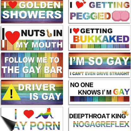 Funny Gay Pride Rainbow Magnet Bumper Sticker Set 10 Unique Designs 7.8X3.1 Inches Reusable Car Accessories for Vehicles & Fridge