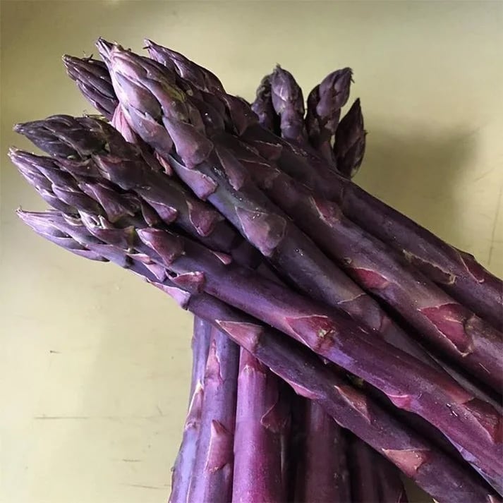 🔥Hot Save🔥-Four Seasons Asparagus Mary Washington Seeds